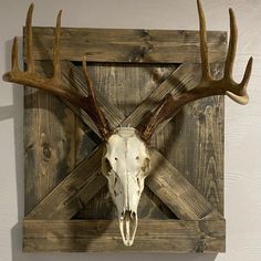 a deer skull mounted on a wooden wall