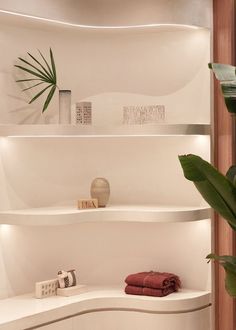 a white shelf with towels and plants on it in a room that is well lit