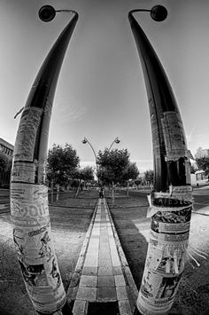 black and white photograph of street lamps with newspaper wrapped around the poles in front of them