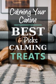 a dog laying on the floor in front of a couch with text that reads calming your canine best and picks calming treats