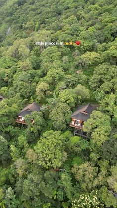 an aerial view of some cabins in the middle of a forest with lots of trees