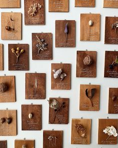 many different types of mushrooms on wooden plaques