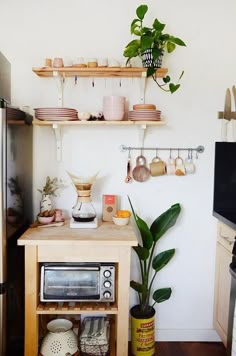 a small kitchen with pots and pans on the shelves above the stove, potted plants in front of the oven