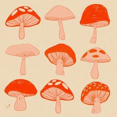 a bunch of different types of mushrooms on a white background with red and pink ink