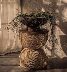 a potted plant sitting on top of a wicker container