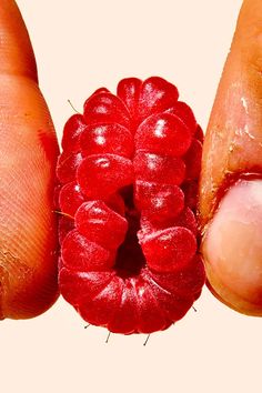 a close up of a person holding a raspberry in their left hand, with the other half eaten