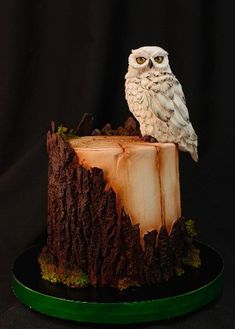 an owl sitting on top of a piece of wood with moss and lichens