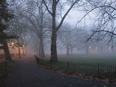 a foggy park at night with trees and street lights in the distance on a path