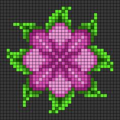 a pink flower with green leaves on a black background