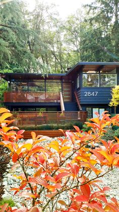 a house in the woods with red leaves on the ground and green trees around it