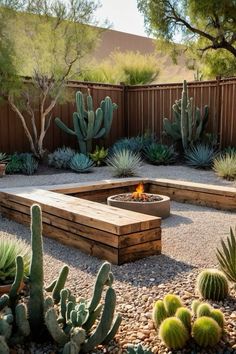 an outdoor fire pit surrounded by cacti and succulents