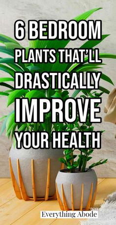 two planters sitting next to each other with the words 6 bedroom plants that'll dramatically improve your health