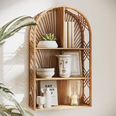 a wooden shelf with various items on it and a potted plant in the corner