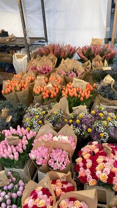 many different types of flowers are on display