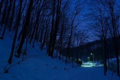 a snowy road in the woods at night