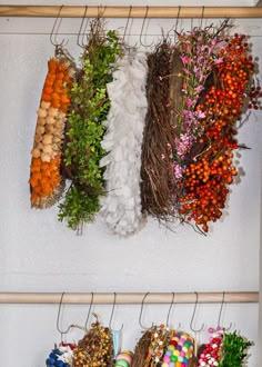 several different types of flowers are hanging on a wall