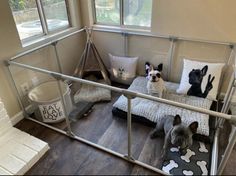 two dogs sitting on a bed in a room with wooden flooring and large windows