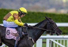 a man riding on the back of a brown horse down a race track in front of a white fence