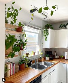 a kitchen filled with lots of green plants and white cupboards next to a window