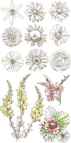 an image of flowers drawn on paper with marker pens and inking pen, in the style