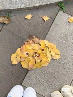 two pairs of shoes are standing on the sidewalk with yellow leaves in front of them