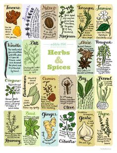 herbs and spices poster on a white background