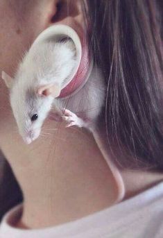 a woman is holding a white rat in her ear