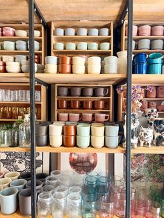 shelves filled with lots of different colored cups