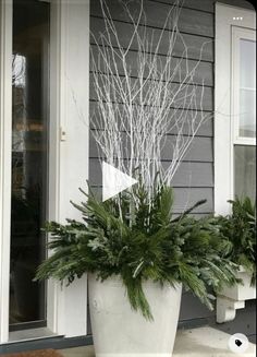 a large potted plant sitting on the side of a building with white branches in it