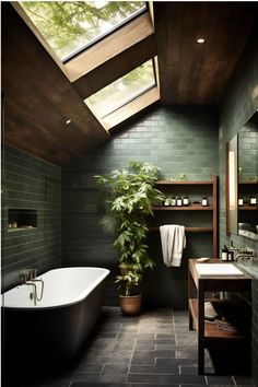 a bath room with a tub a sink and a plant on the counter next to it