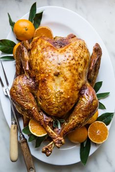 a roasted turkey on a white plate with oranges