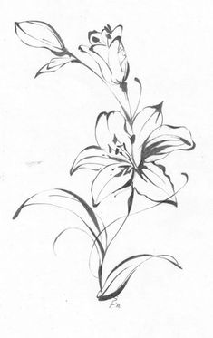 a pencil drawing of a flower on paper