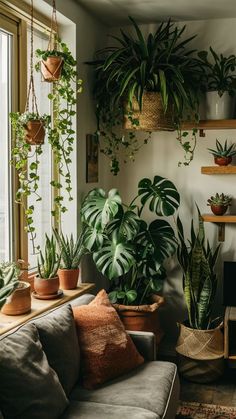 a living room filled with lots of potted plants