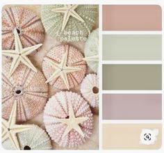 the color scheme is peach, green, and beige with starfishs on it