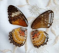 three butterflies sitting on top of a white cloth covered tablecloth, one with orange and brown wings