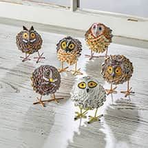 five owls are standing in the middle of a group