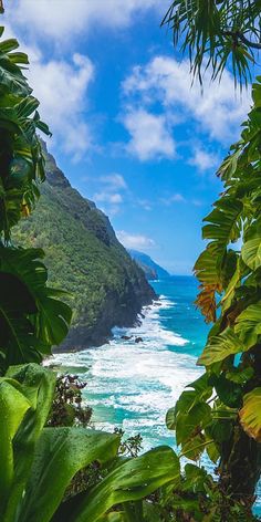 the ocean is surrounded by lush vegetation and blue skies with clouds in the sky above