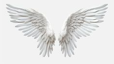 two white angel wings on a gray background