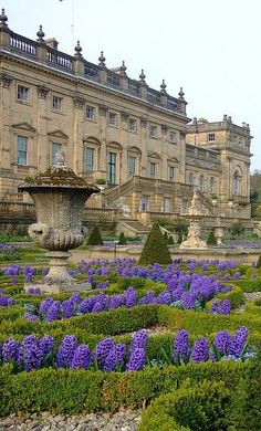 a large building with lots of purple flowers in the foreground and bushes around it