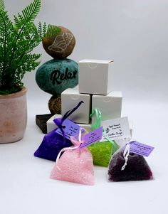 several different types of soaps are sitting on a table next to a potted plant