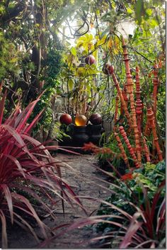 an outdoor garden with lots of plants and flowers