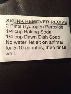 Skunk Smell, Dog Grooming Tips, Aggressive Dog, Hydrogen Peroxide, Training Your Puppy