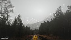 a person in a yellow raincoat standing on a wet road surrounded by trees and connected lines