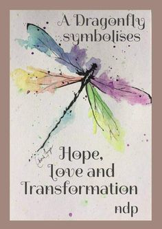 a dragonfly symbolises hope, love and transformation in this quote by person