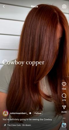 Dark Rooted Red Hair, Long Autumn Hair, Copper Hair Dark Brows, Cowboy Copper Hair Dark Skin, Auburn Copper Hair On Latinas, Light Auburn Red Hair, Dark Copper Hair On Tan Skin, Red Hair Brown Eyebrows, Ginger With Dark Roots