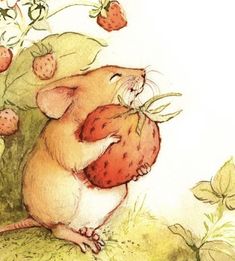 a drawing of a mouse eating strawberries