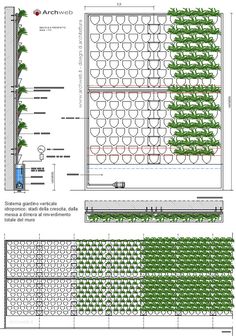 an architectural drawing shows the design and construction process for a garden wall, with trees growing on