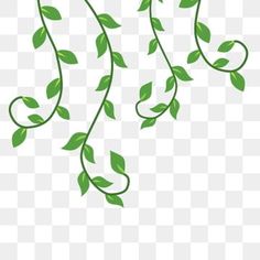 green leaves on a white background, plant, leaf, branch png and psd