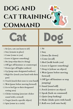 a dog and cat training commands poster