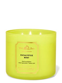 a yellow candle that is sitting in front of a white background with the words eucalyptustus mint on it